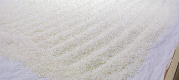 保湿の主役はお米の発酵成分