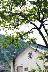 natu no kura