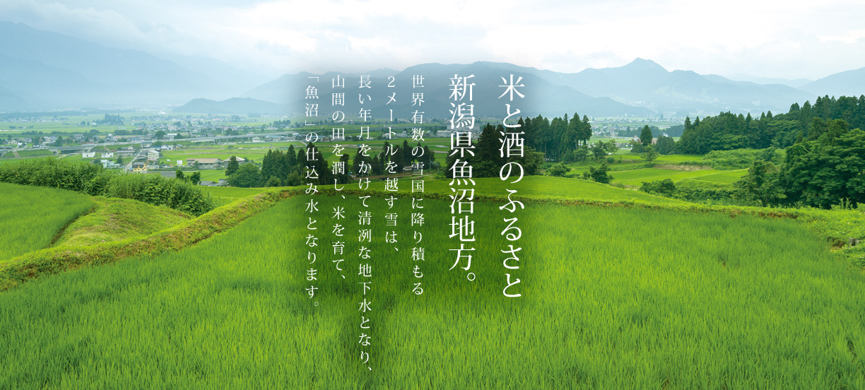 米と酒のふるさと新潟県魚沼地方。世界有数の雪国に降り積もる２メートルを越す雪は、長い年月をかけて清冽な地下水となり、山間の田を潤し、米を育て、「魚沼」の仕込み水となります。