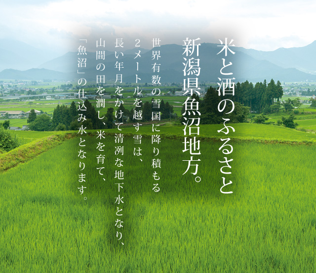 米と酒のふるさと新潟県魚沼地方。世界有数の雪国に降り積もる２メートルを越す雪は、長い年月をかけて清冽な地下水となり、山間の田を潤し、米を育て、「魚沼」の仕込み水となります。