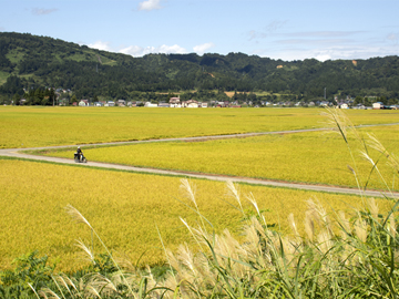 あえて辛さをきかせた純米大吟醸酒