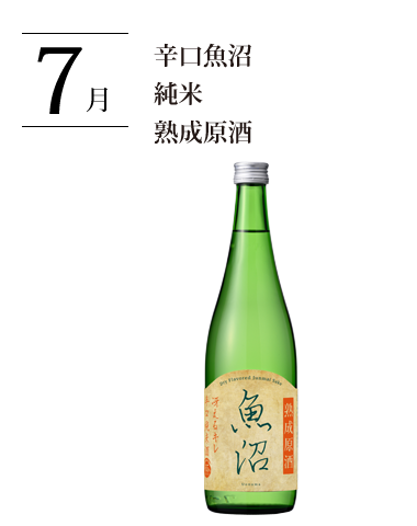 辛口魚沼 純米 熟成原酒